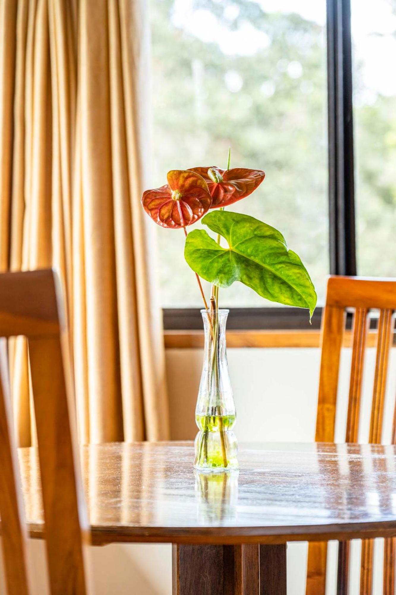 Volcano Inn Bed N Breakfast מראה חיצוני תמונה
