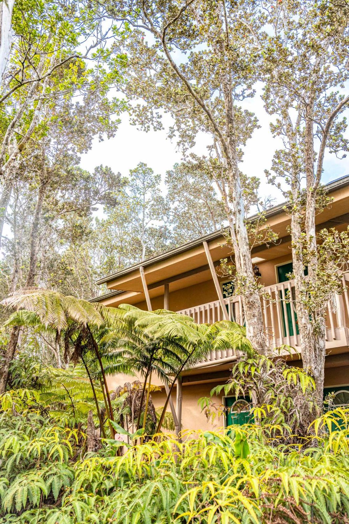 Volcano Inn Bed N Breakfast מראה חיצוני תמונה